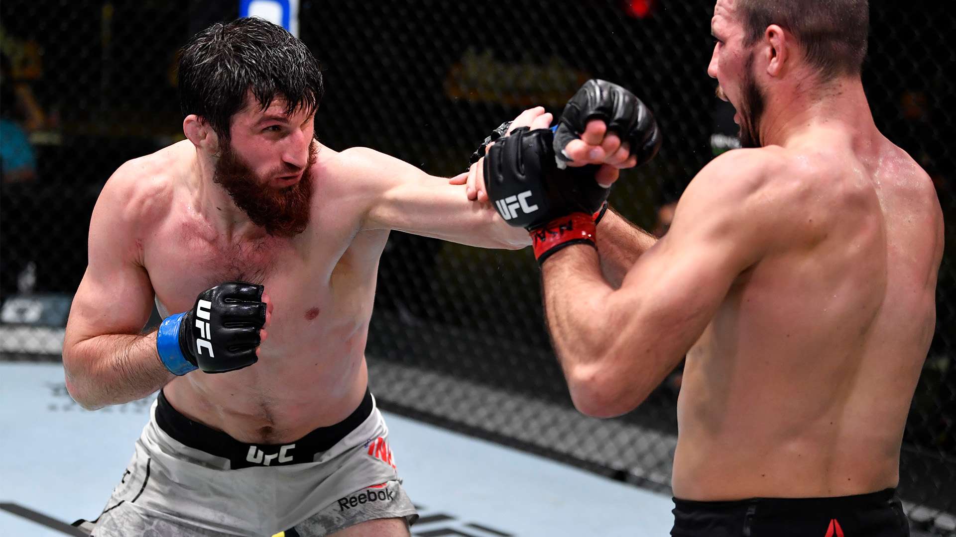 對手無法輕 對手無法輕