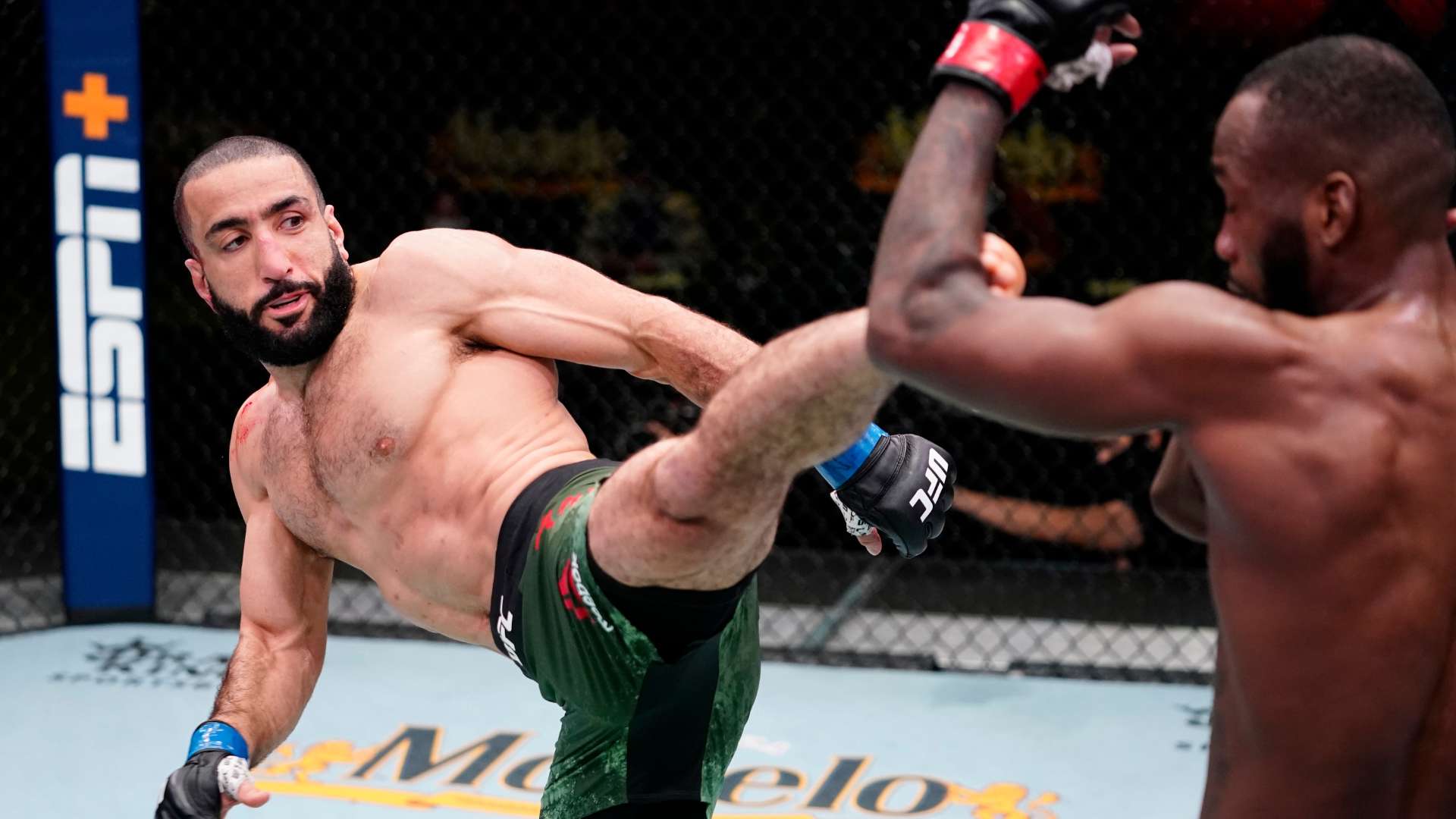 都充满了可 都充满了可