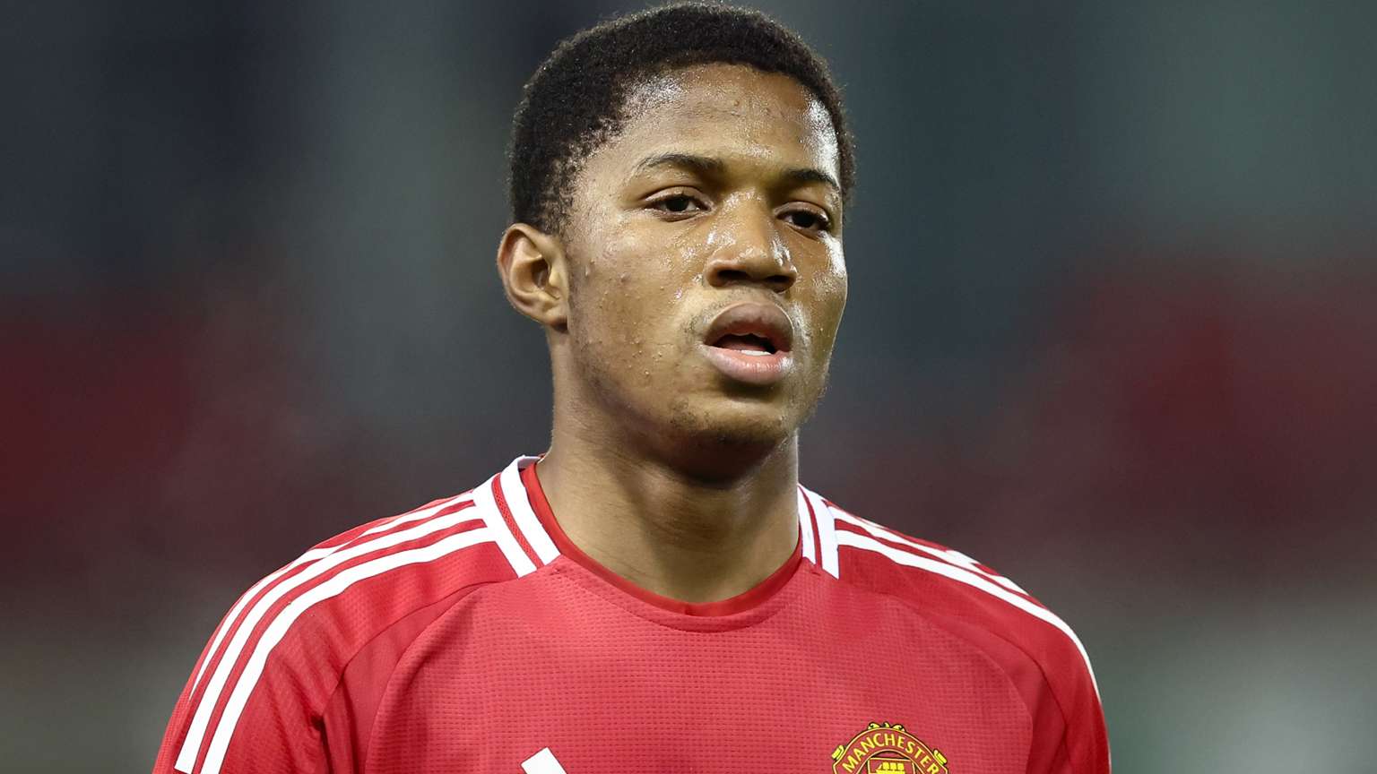 强队还是新 强队还是新